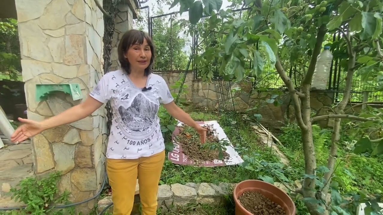 Yabani otlardan kurtul,toprağını malçla ,besle ,lazanya yöntemi