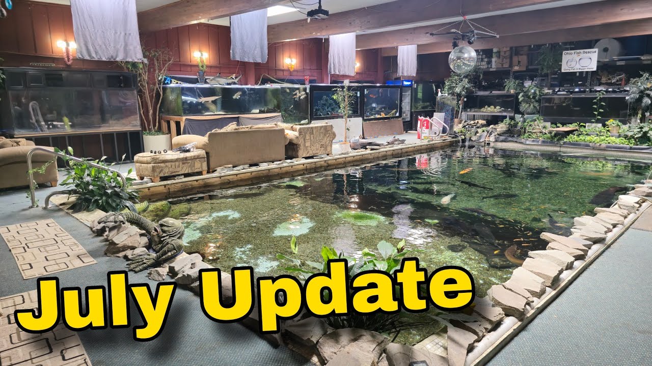 New Upgrades Coming as OFR looks for a face-lift on Aquariums