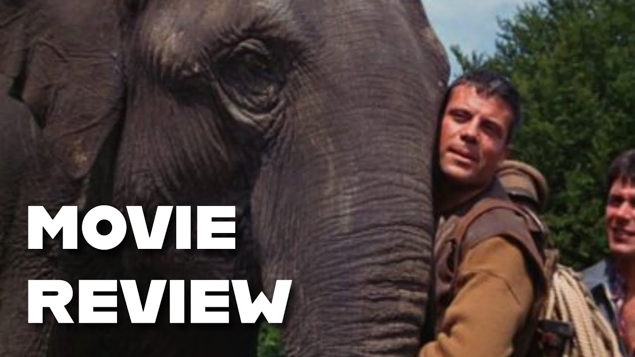 Hannibal Brooks (1969) Review: Classic Comedy&hellip; or Just Boring?