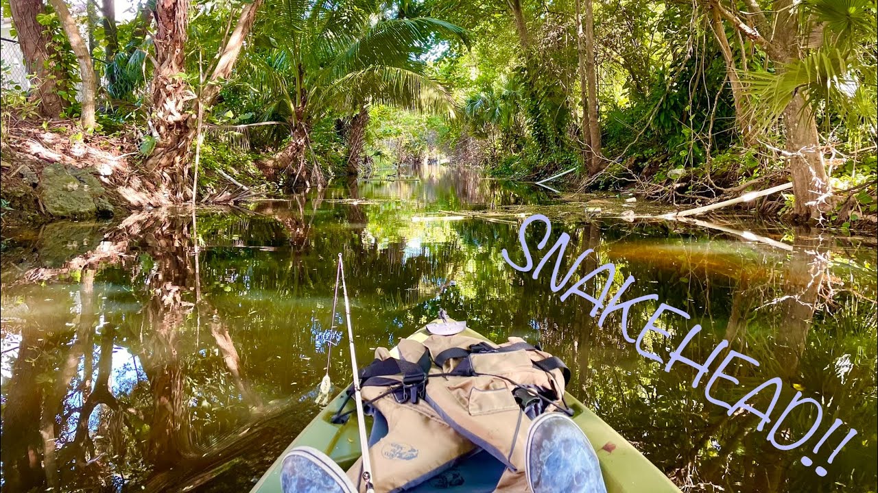 Kayak Fishing for Bullseye Snakehead in Skinny Urban South Florida Canals!!!