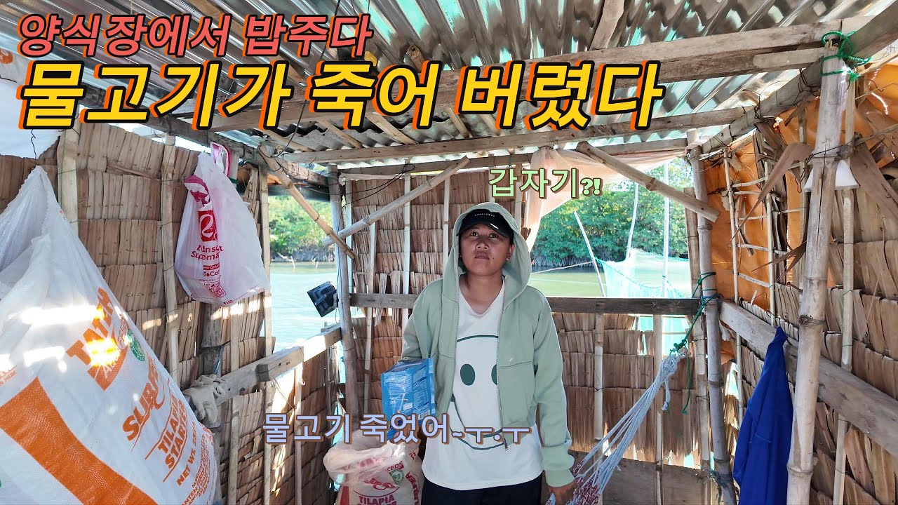 🇵🇭필리핀에서 양어장 운영하는 한국인 물고기 사료 주는데 갑자기 죽어 버렸다!?