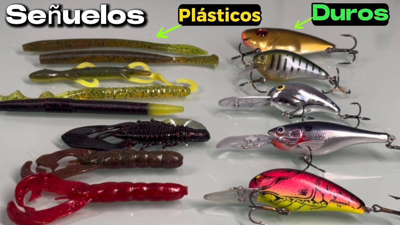 Señuelos Duros Vs. Plásticos: Pesca para PRINCIPIANTES