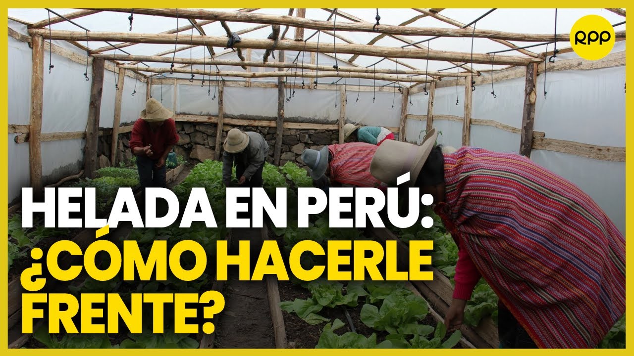 Helada en el Perú: Descubre la importancia del 'Fitotoldo'