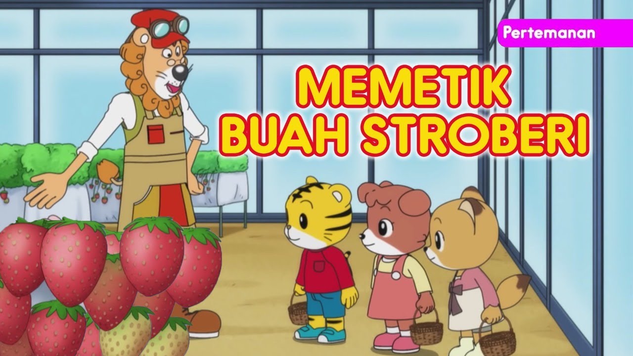 Memetik Buah Stroberi 🍓 I Pertemanan I Kartun Anak I Shimajiro Indonesia