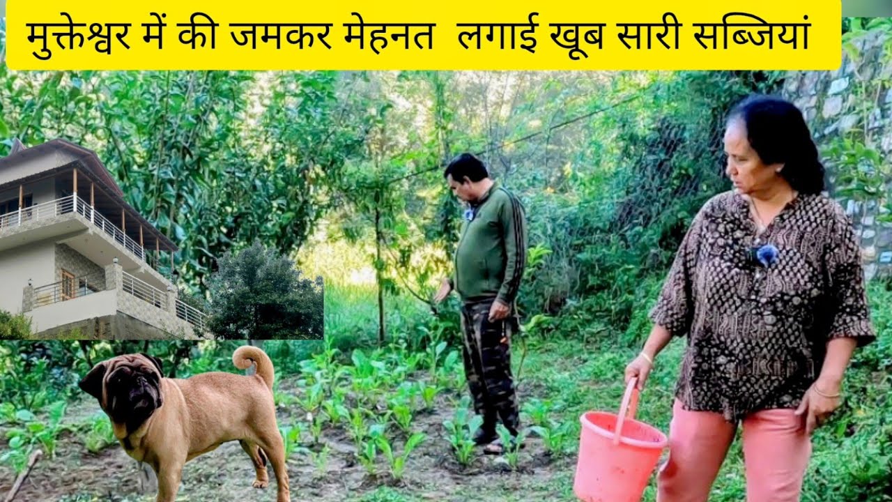 Sowing of Winter Vegetables in Mountains of Mukteshwar | पहाड़ों में लगाई मूली, सरसों, लाई, पालक 🥦🍅🍆