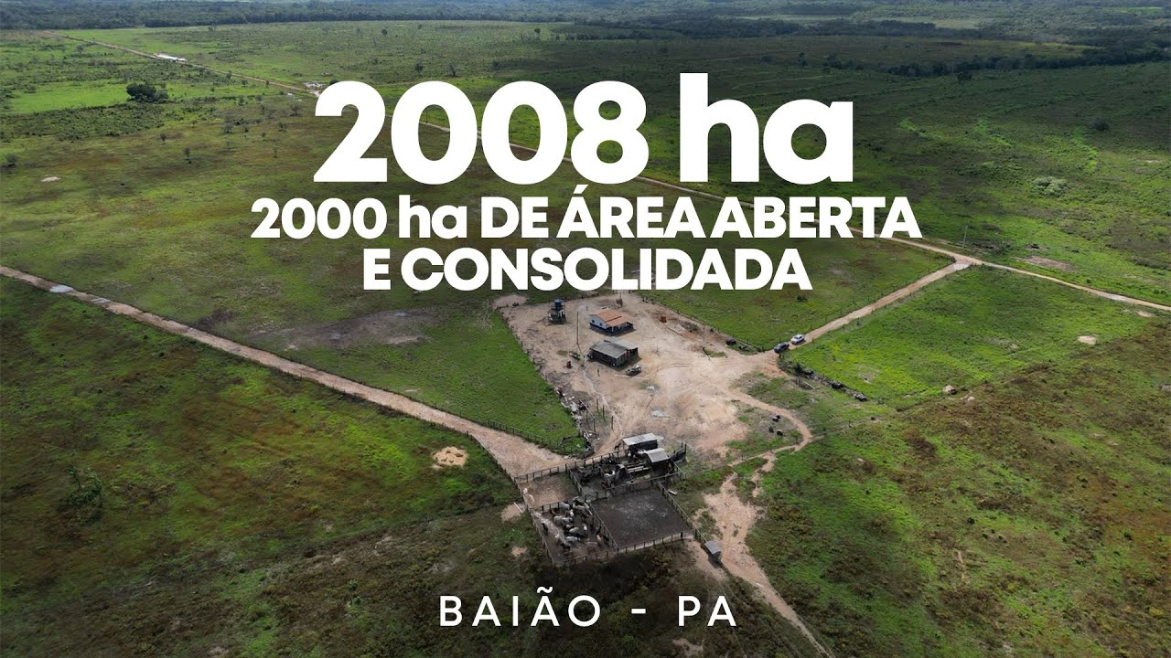 FAZENDA EM BAIÃO-PARÁ À VENDA 
