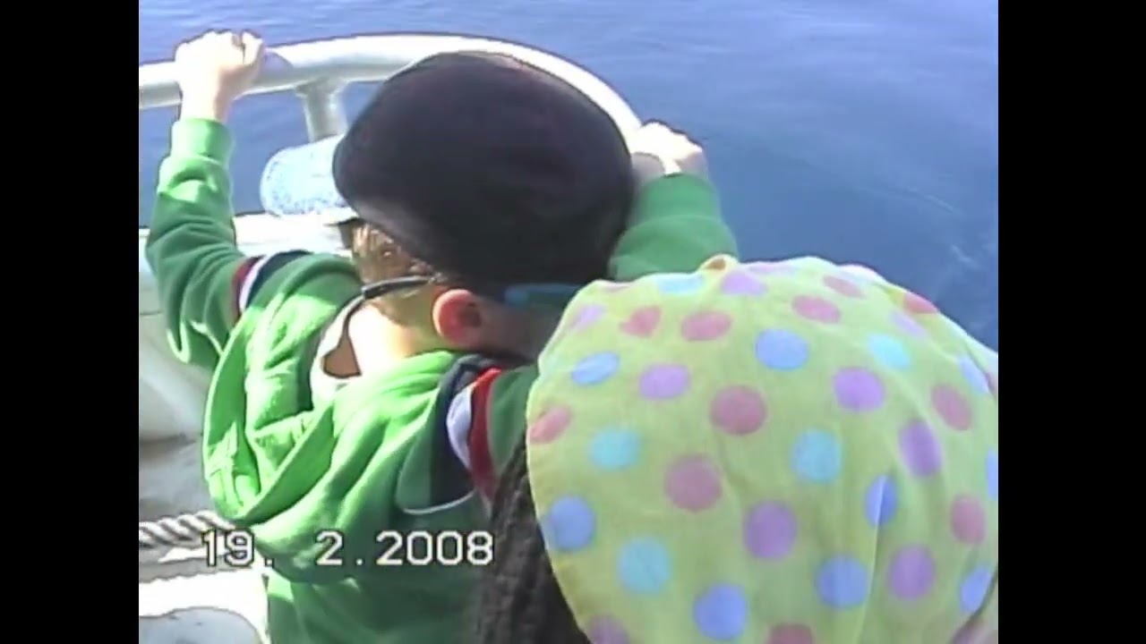 Whale Watching
