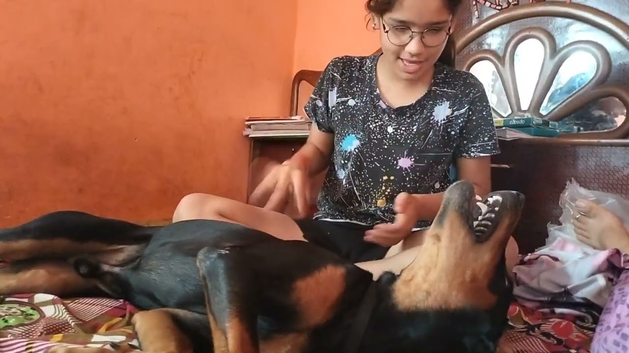 #doglover doberman #dog