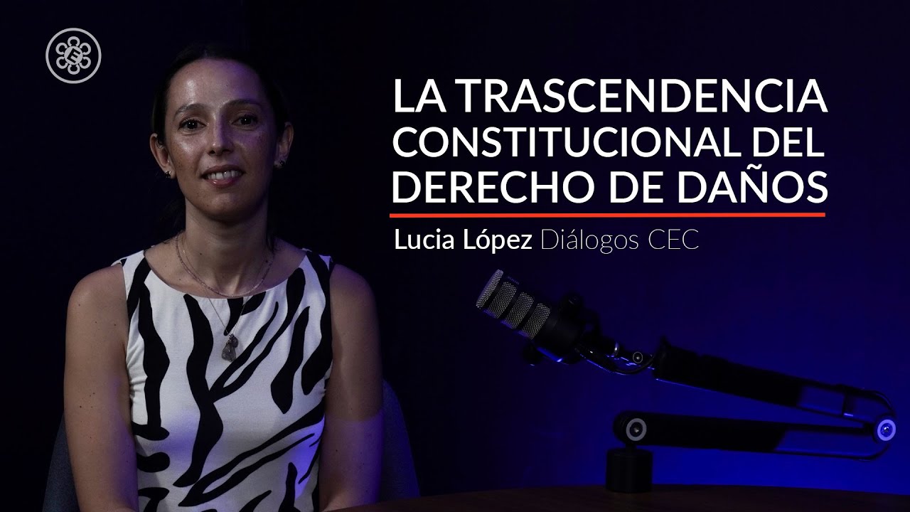 La trascendencia constitucional del Derecho de Daños