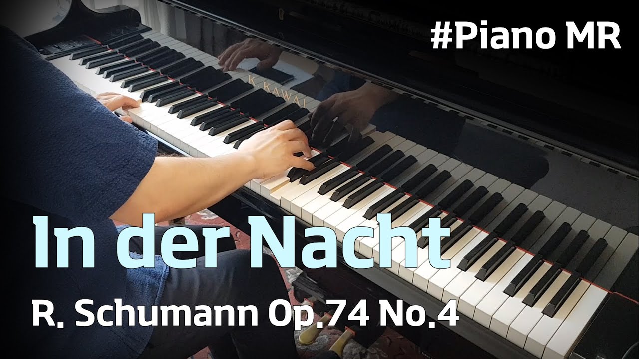 R. Schumann - In der Nacht, Op.74 No.4 Duett (Piano Accompaniment) (Karaoke) (Piano 반주)