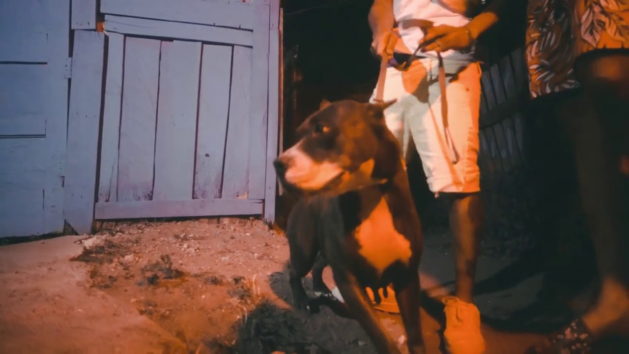 Acegawd - Beast Mode (Official Video)