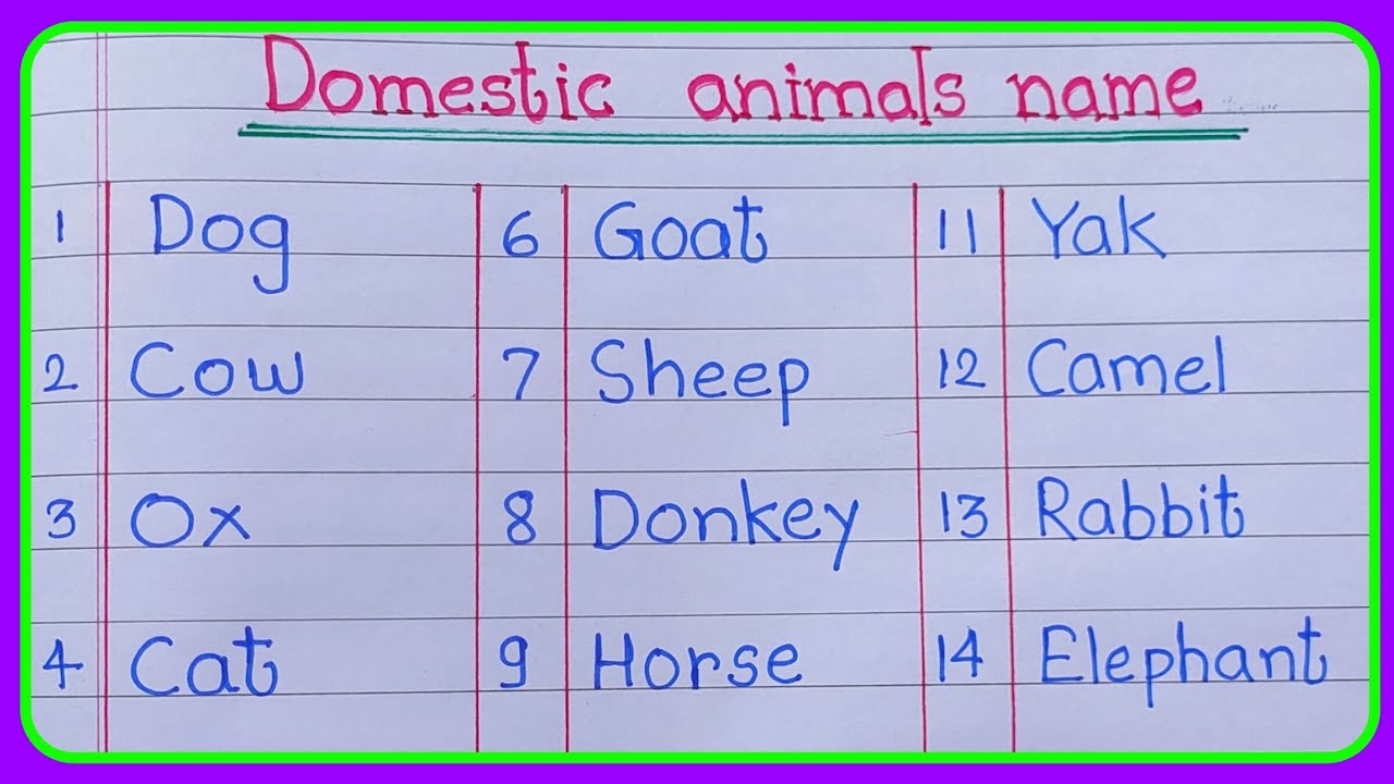 15 domestic animals name in english  |15 pet animals name|domestic animals name |domestic animals 15