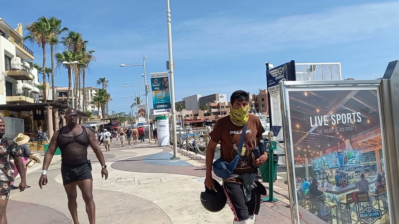 Discover Marina, Cabo San Lucas, Mexico