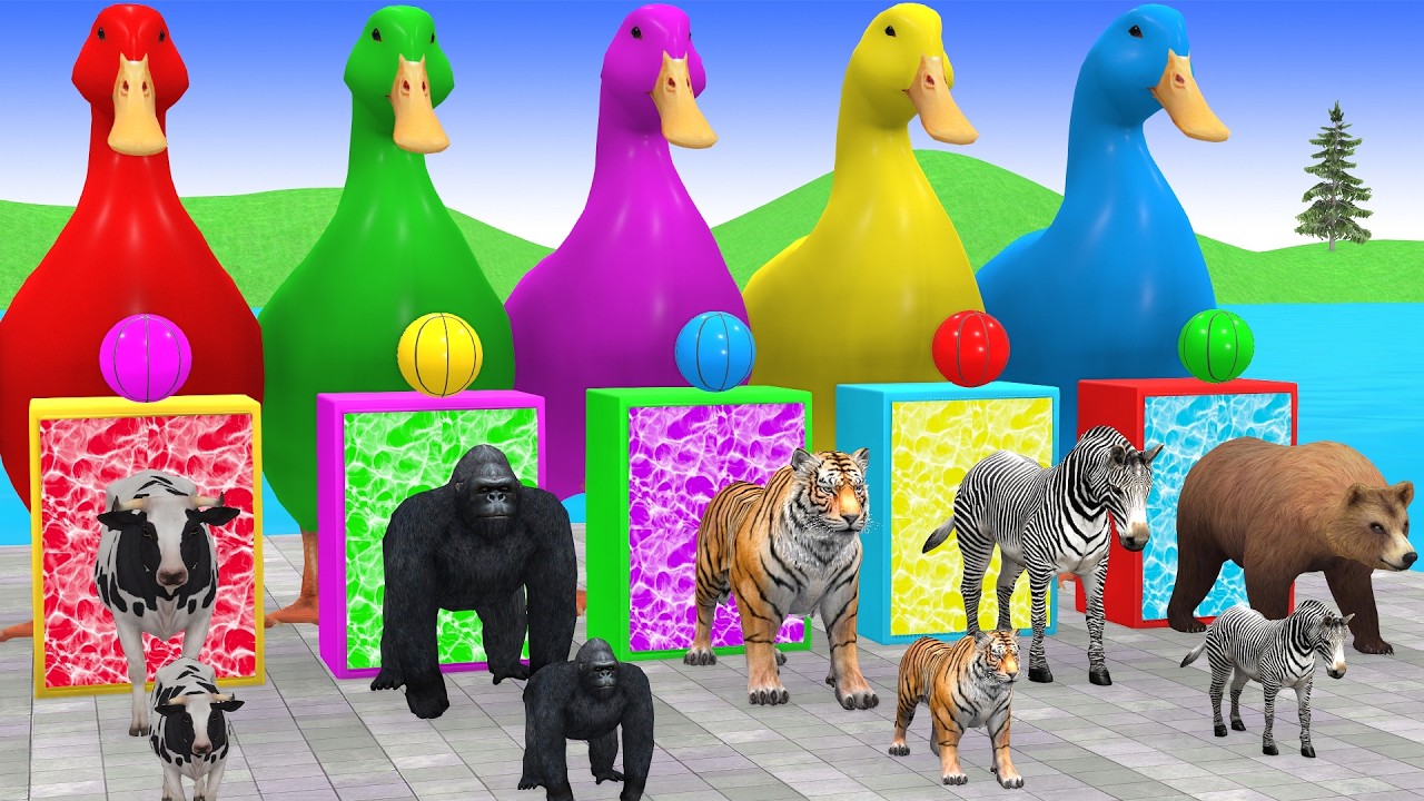 Funny 3D Animal Game: Long Slide Racing with Jungle Favorites