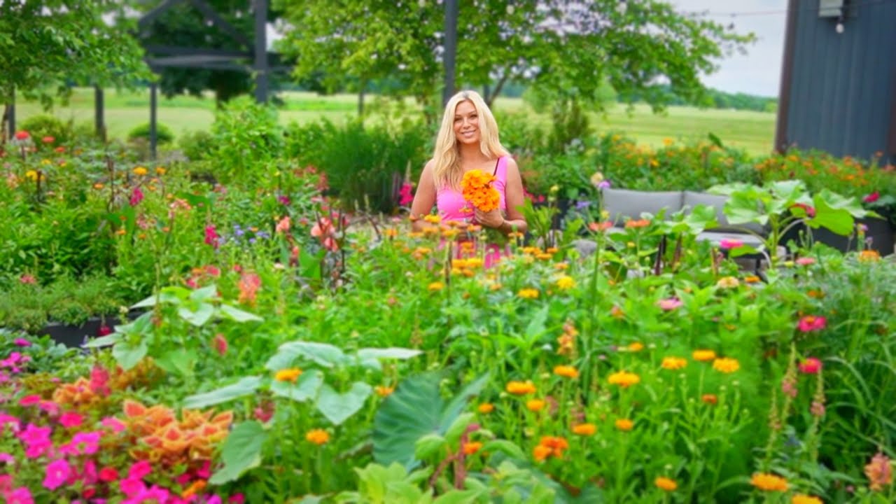 How I Make My Gardens Look The Way They Do