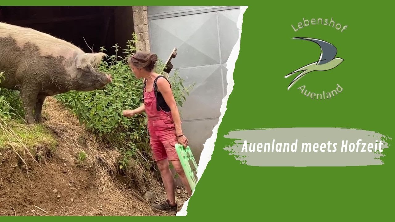 Lebenshof Auenland meets Projekt Hofzeit