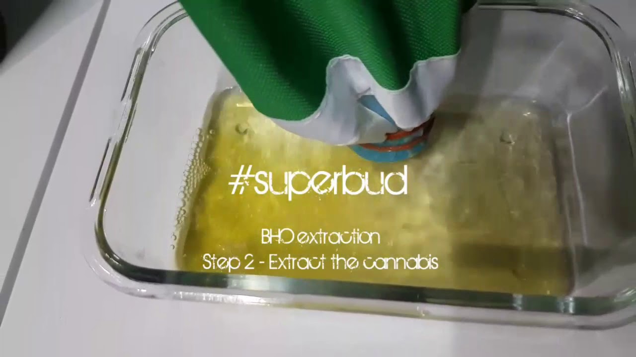 BHO Extraction, Step 2 - Extract the cannabis