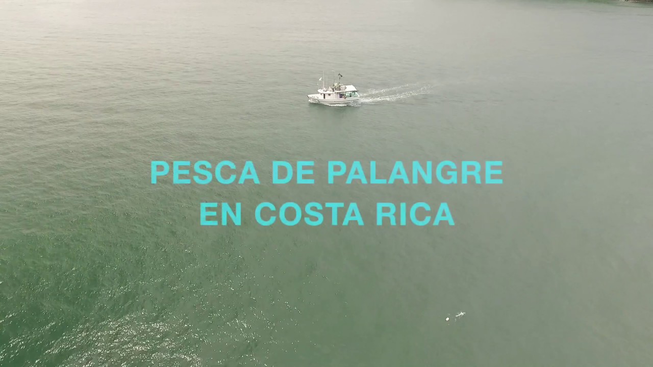 Pesca de palangre en Costa Rica