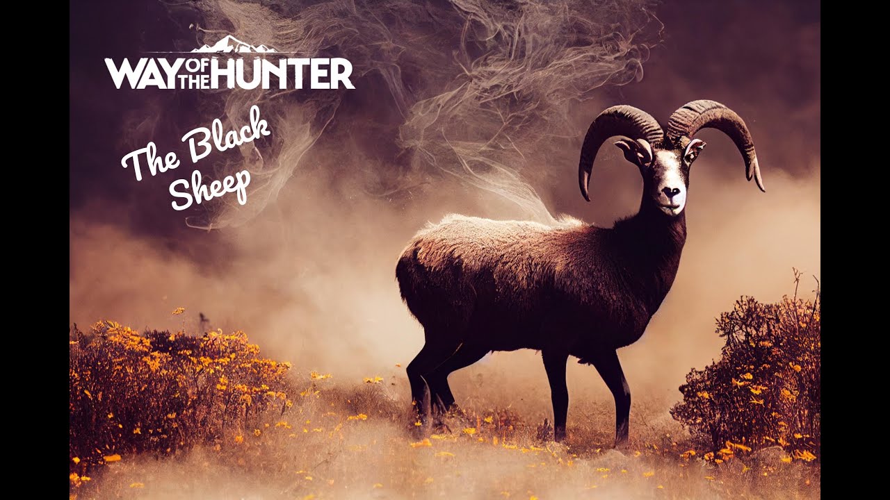 Black Sheep Mission and..... picking flowers??? - Way of the Hunter