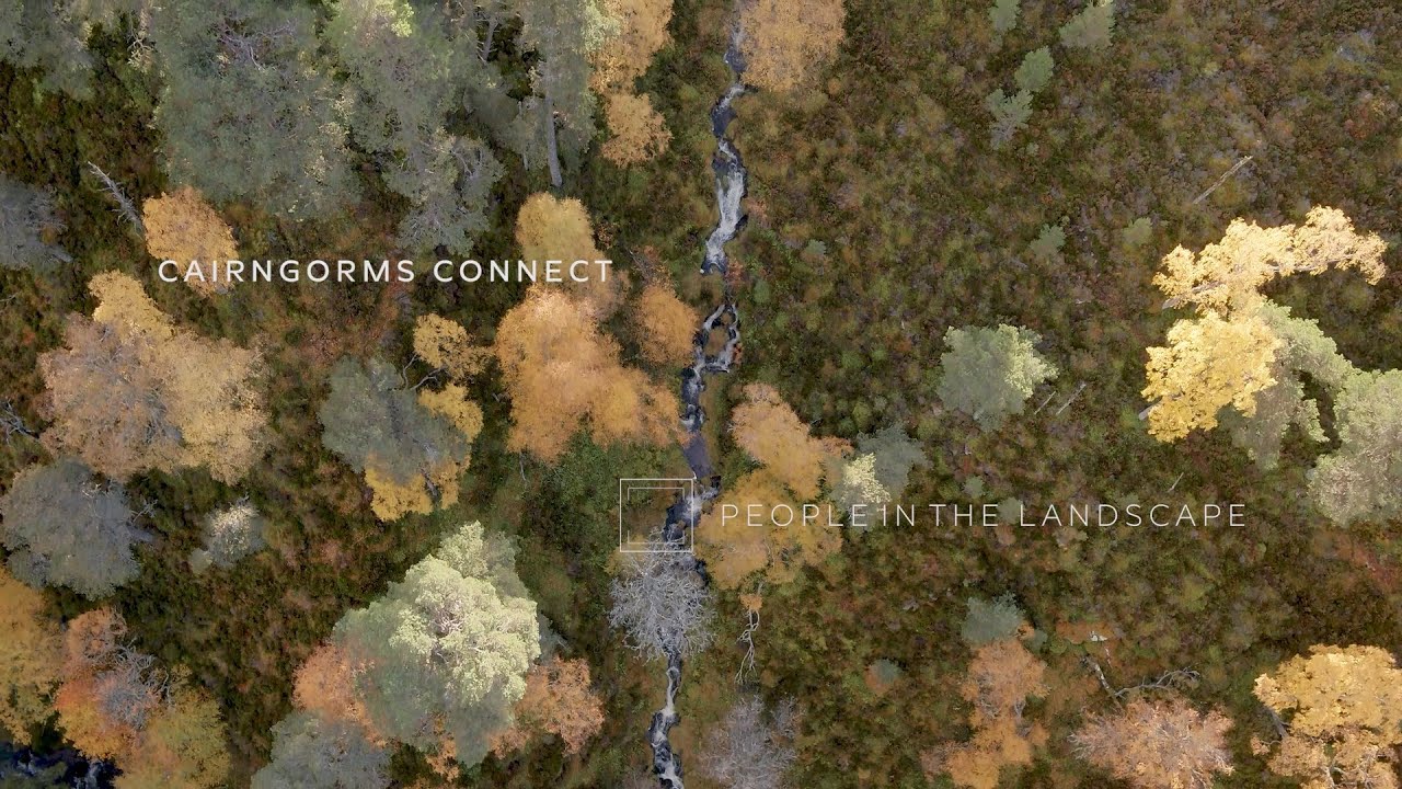 People in the Landscape