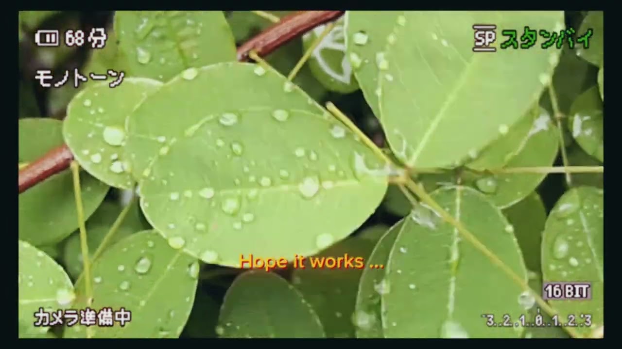 Hope it works (visualizer)