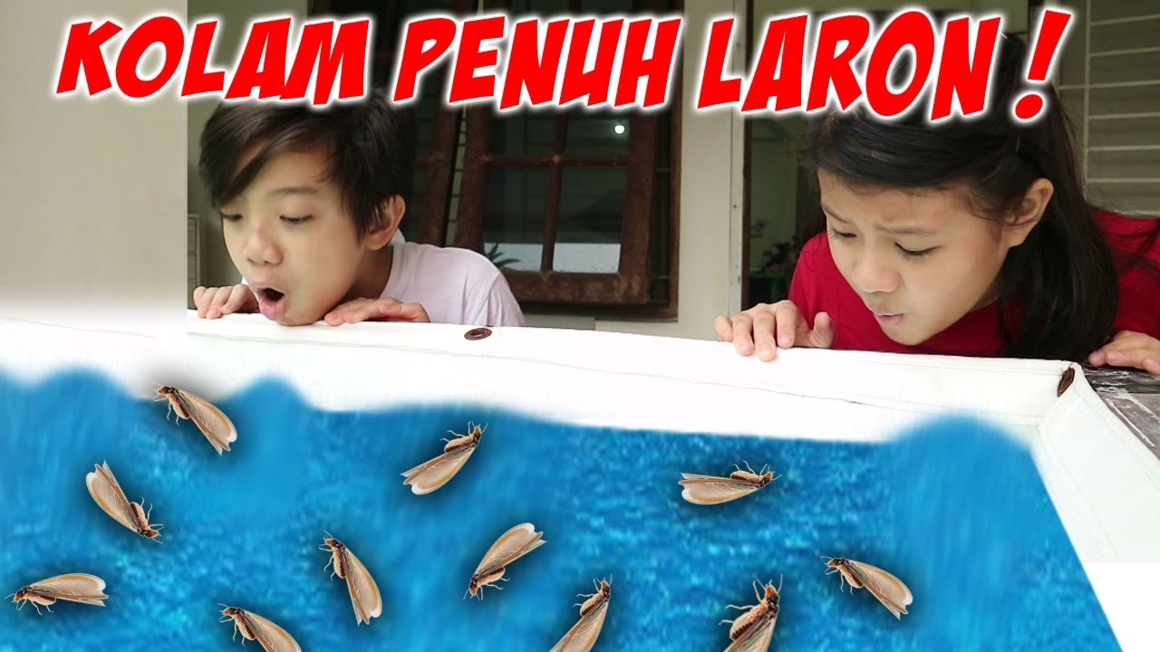 BERSIHIN AIR KOLAM RENANG PENUH LARON !!! | Vlog & Drama Lucu | CnX Adventurers