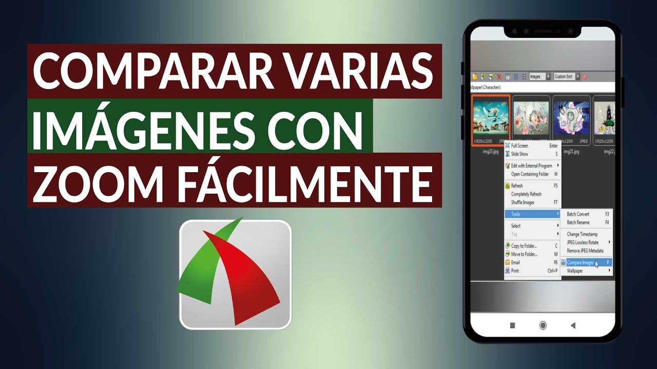 C&oacute;mo Comparar Varias Im&aacute;genes al Mismo Tiempo con Zoom F&aacute;cilmente