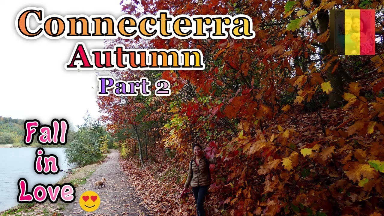 CONNECTERRA // WALKING IN LIMBURG // AUTUMN or FALL SEASON // PART 2 // ELLA'SLIFE