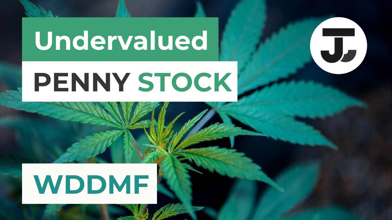 Undervalued Penny Stock 2021