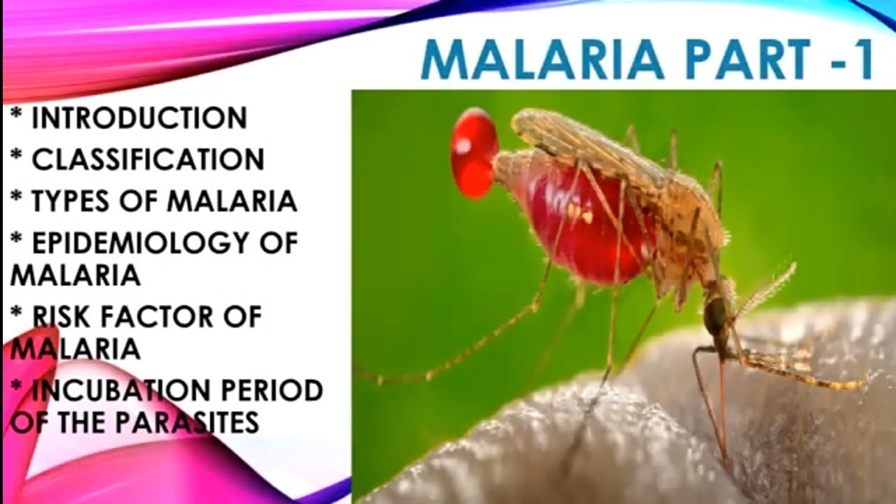 MALARIA PARASITE ||DEFINATION || TYPES OF MALARIA ||