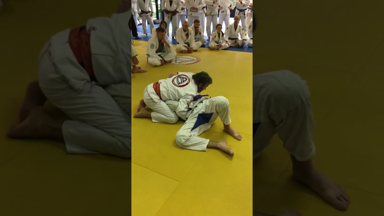 PEDRO SAUER | Professor Using MONKEY FEET To Escape Side Control!