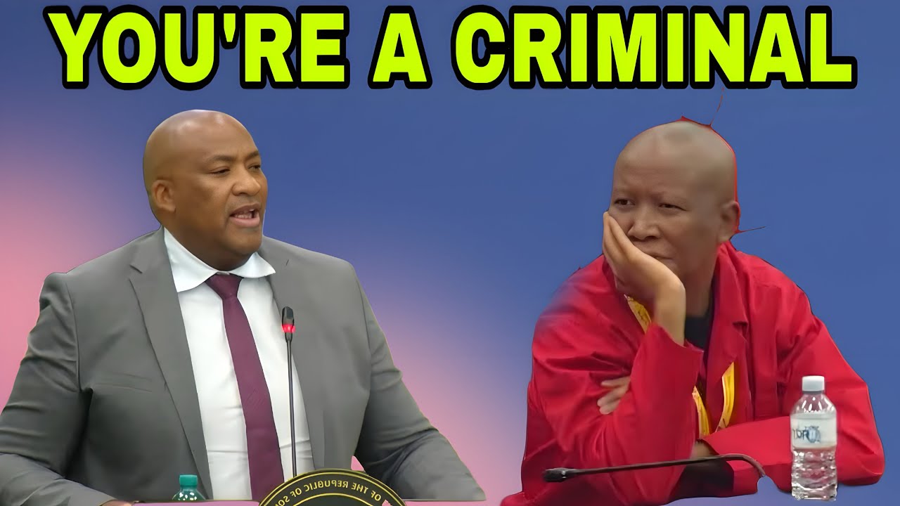 Julius Malema vs Gayton Mckenzie during SONA debate. You're a Criminal.