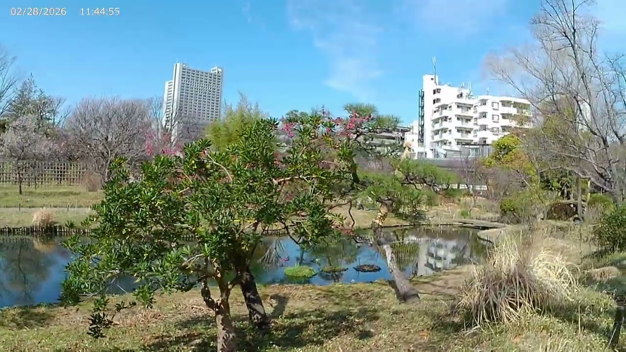 向島百花園を散策