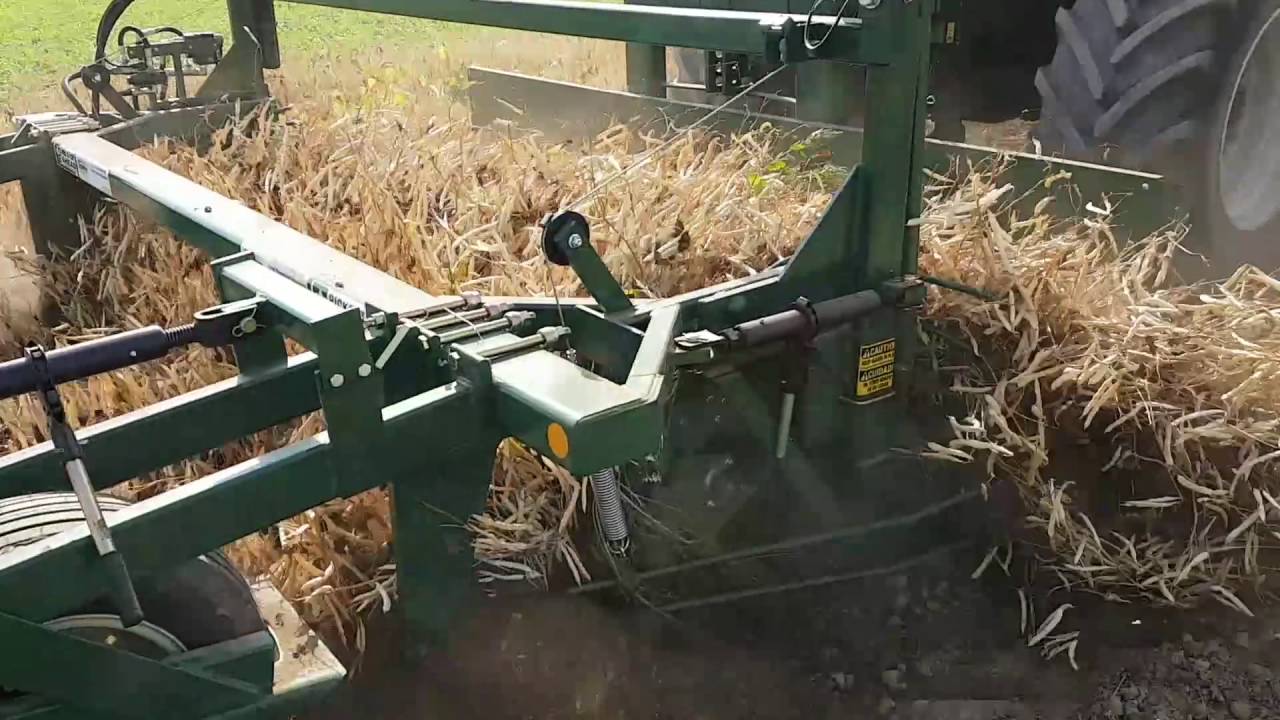 Dry bean digger - windrower | Sweere