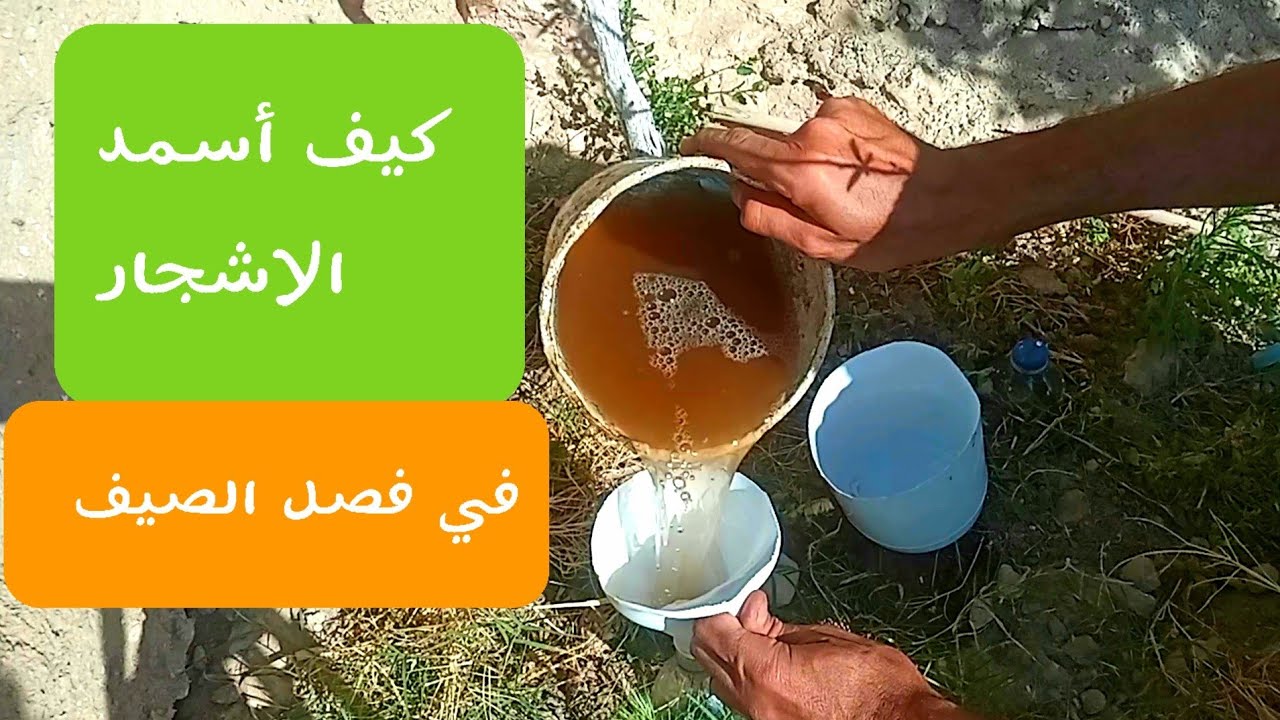 التسميد العضوي في الصيف