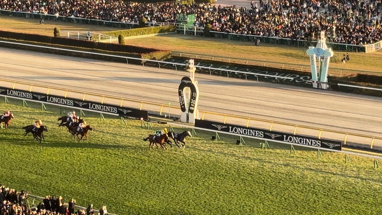 現地撮影:第45回ジャパンカップ 優勝カランダガン 東京競馬場 2025年