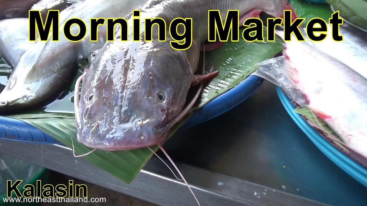 Kalasin Morning Market Tour, The Market is huge.