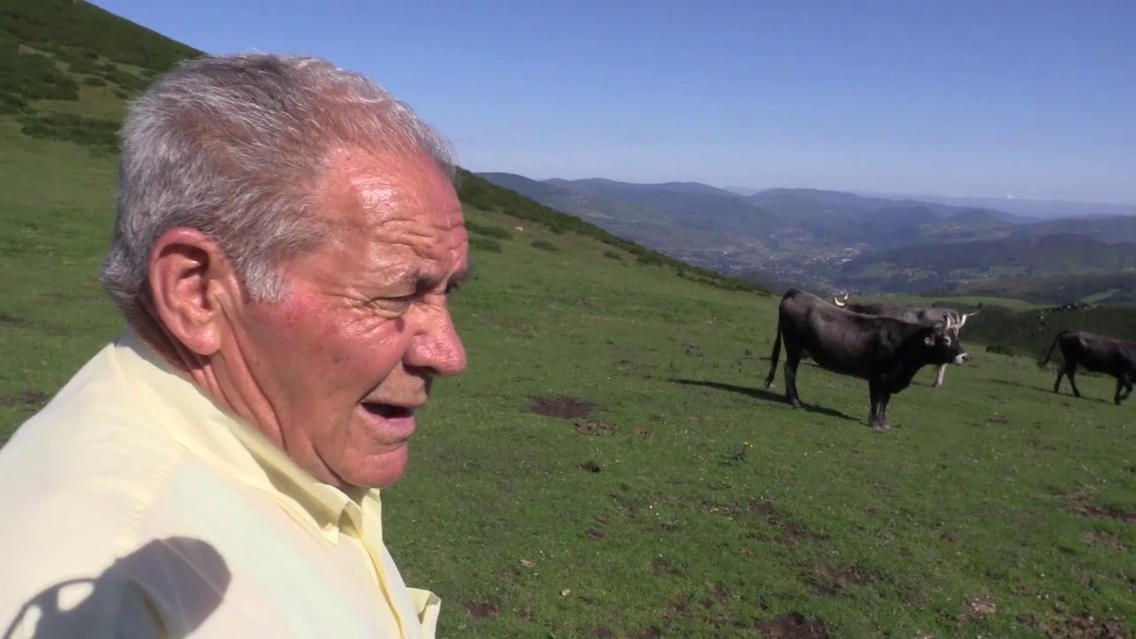 Ganaderos en su hábitat | Yeguas en La Braña | 18.9.2020
