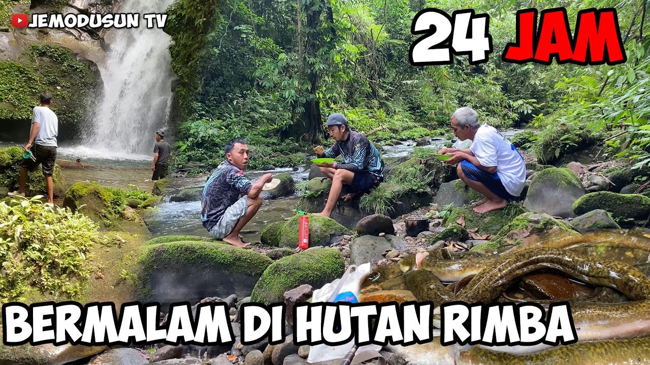 PETUALANGAN MENYUSURI SUNGAI DALAM HUTAN RIMBA BELANTARA | FISHING CAMPING AND COOKING