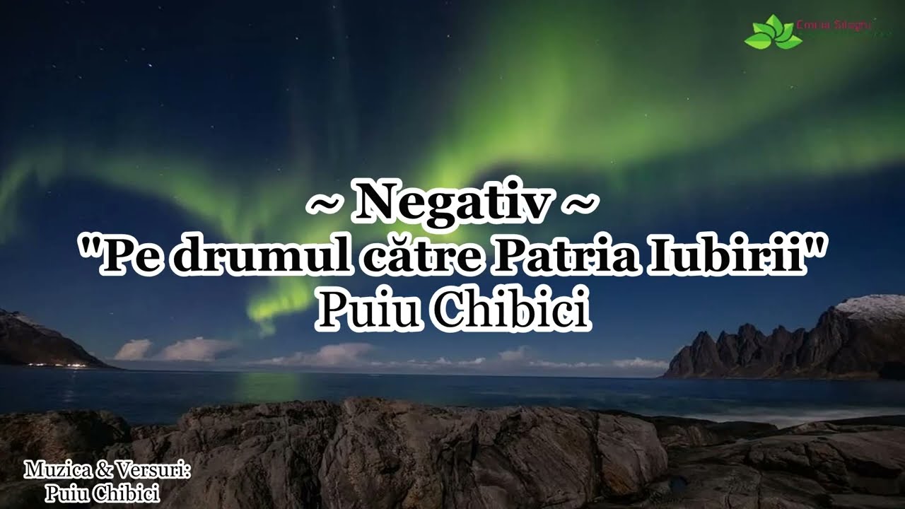 Negativ - Pe drumul către Patria Iubirii - Puiu Chibici [NOU 2022]