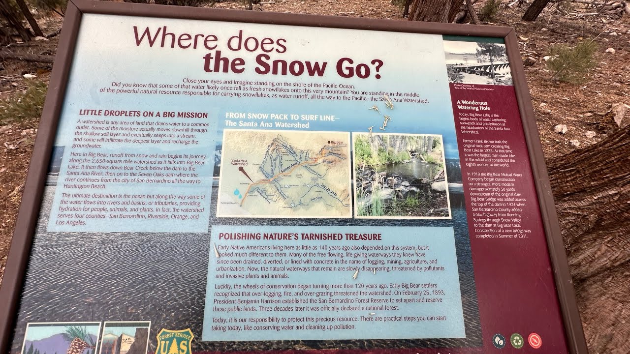 Hiking Trail Discovery Center Big Bear Lake California Pine Mountain Snow Plants Nature