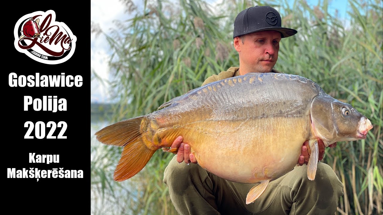 Goslawice, Polija. Karpu makšķerēšana. Carp fishing in Poland, Goslawice