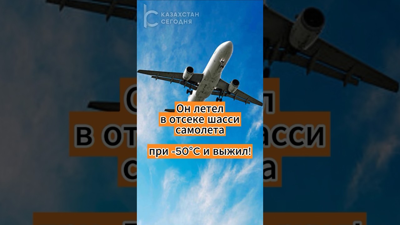Он летел в отсеке шасси самолета при -50&deg;C и выжил! #мигранты #самолет #шасси #news