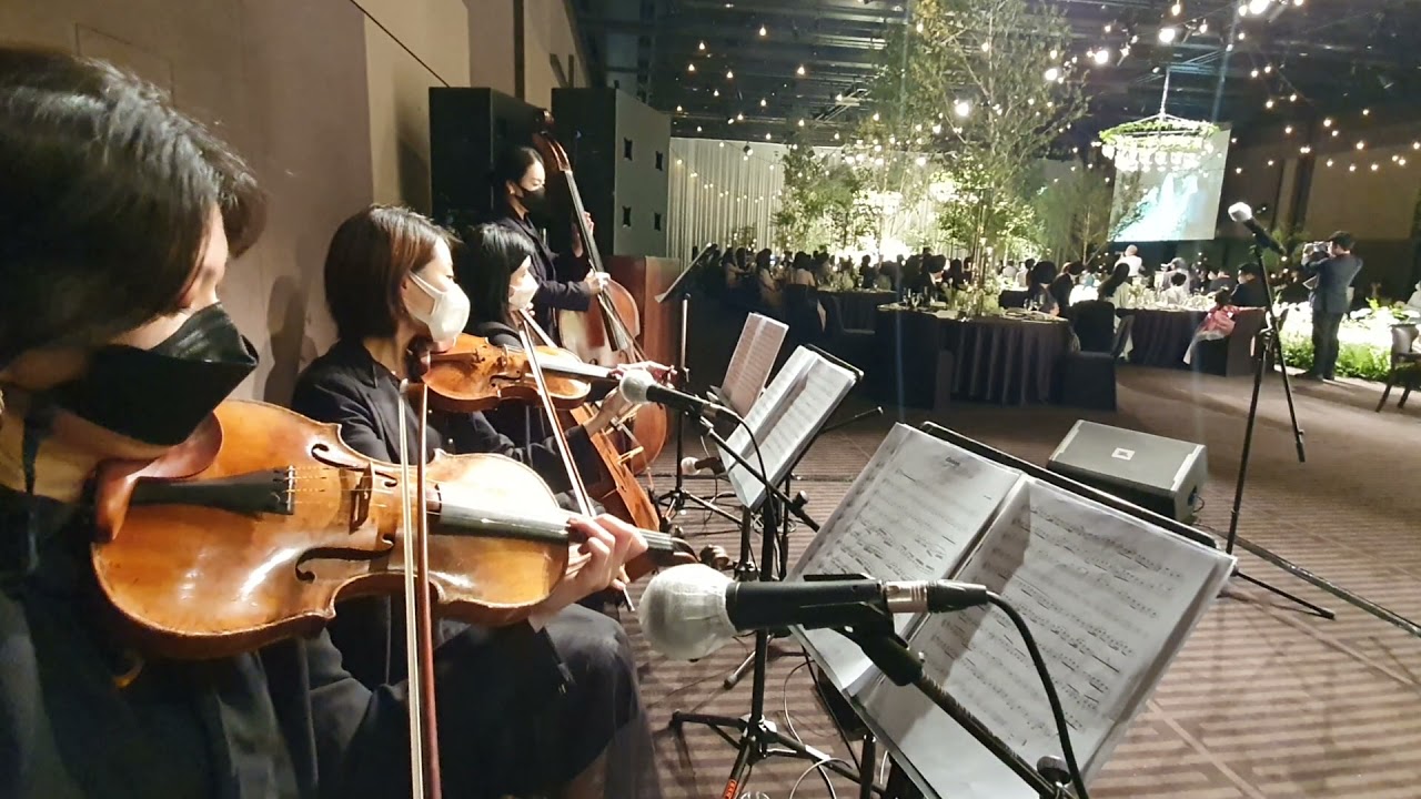 신부입장곡ㅡ캐논변주곡(canon variation)