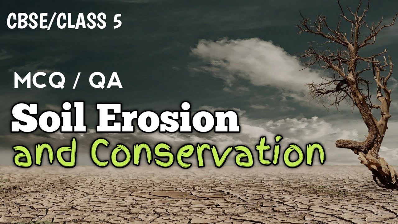 Class 5 | Chapter 6 | Soil Erosion and Conservation | MCQ | Questions and Answers