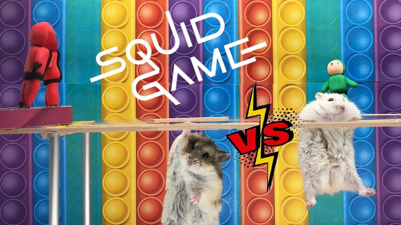 Squid Game vs Hamsters : Glass bridge with Pop it Maze