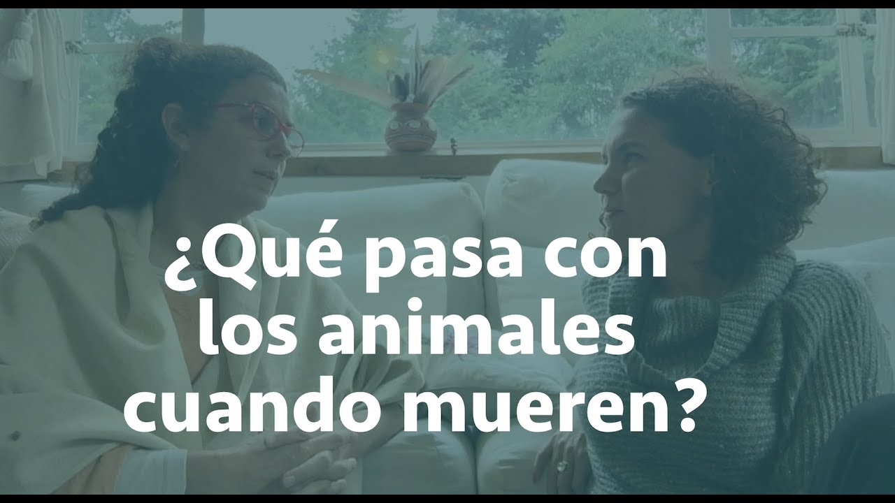 ¿Qué pasa con los animales cuando mueren? Daniela Camino