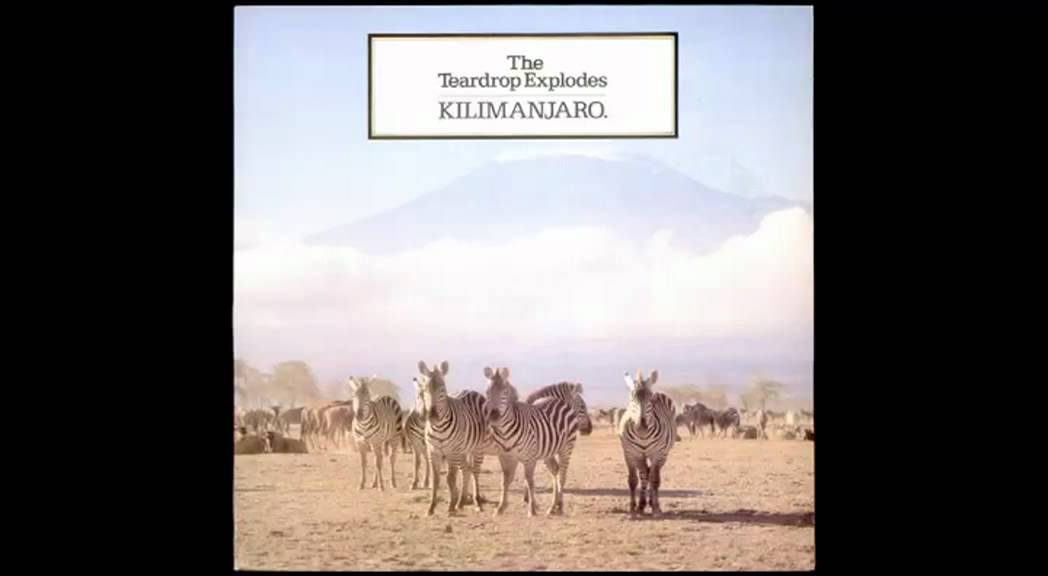 The Teardrop Explodes - Second Head