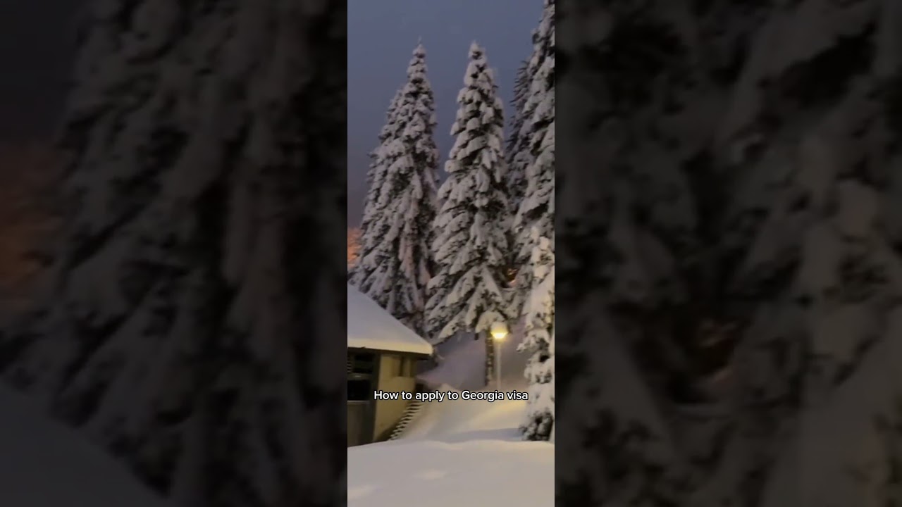 How to apply e visa for Georgia 