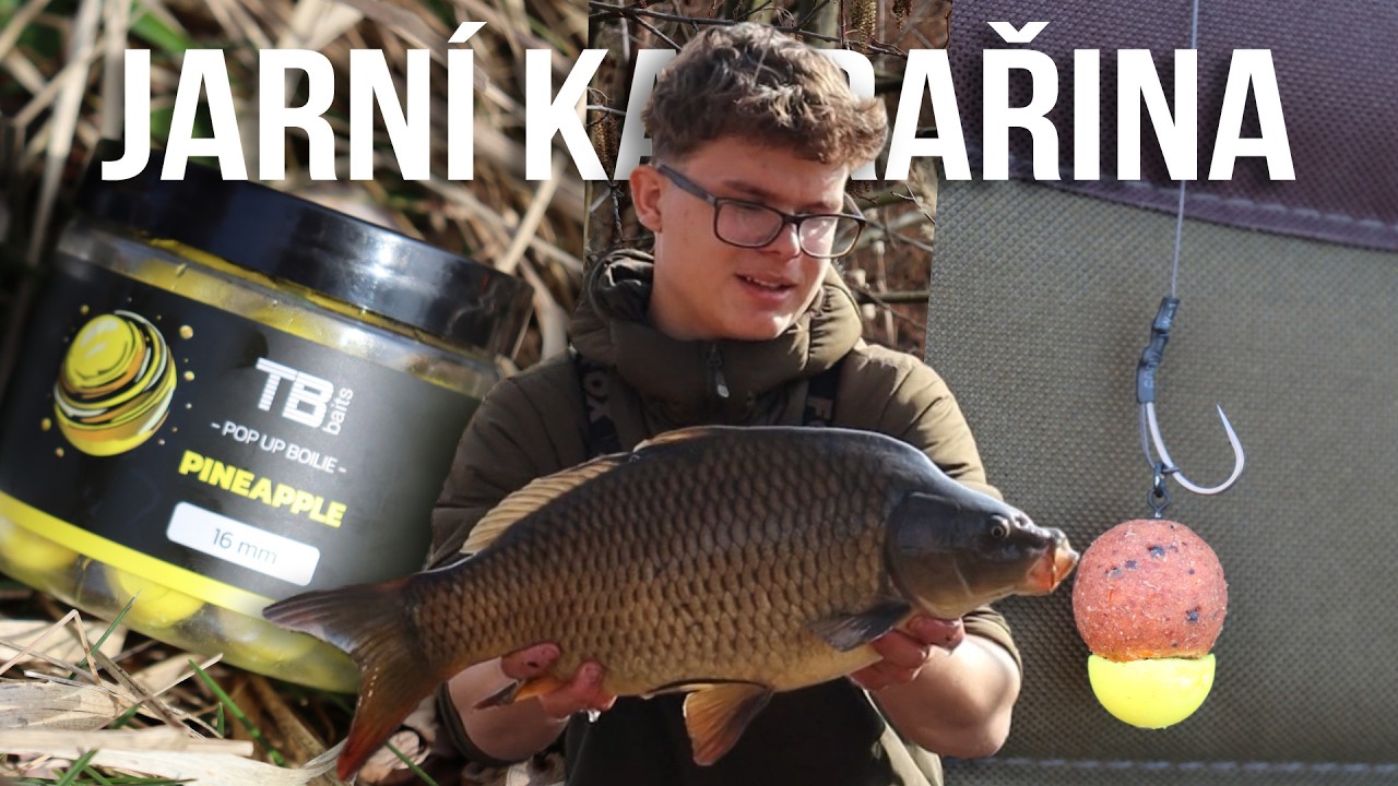 Lov kaprů NA JAŘE | Jarn&iacute; kaprařina | Nejlep&scaron;&iacute; mont&aacute;ž na kapry